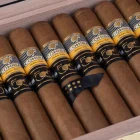 cohiba 1966 50th anniversary majestuoso