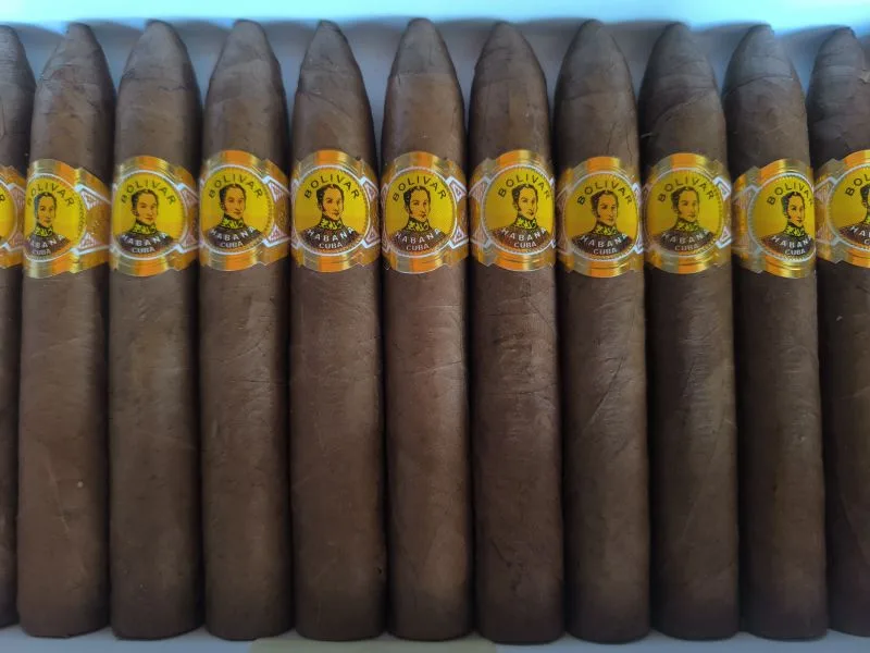 Bolívar Belicosos Finos