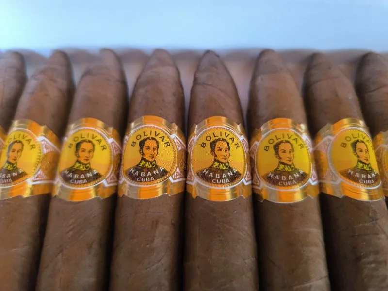 Bolívar Belicosos Finos